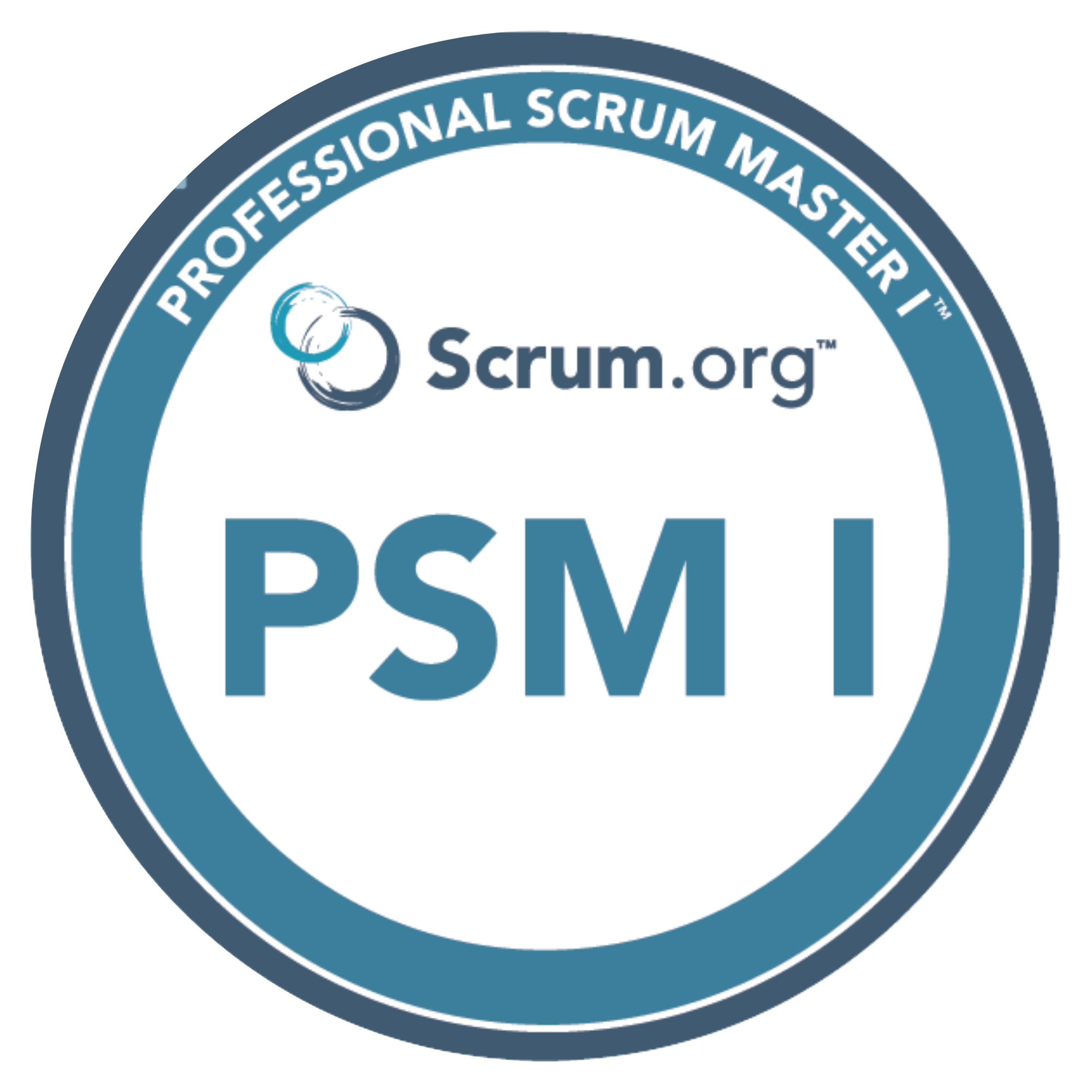 PSM I